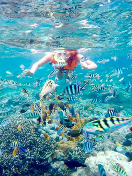 west trip & manta point package, cherysa penida tour, angel billabong, broken beach, crystal bay, gamat bay kelingking cliff, manta point