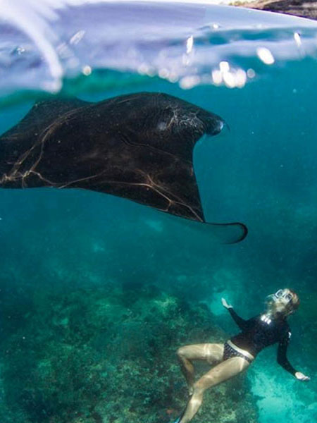 cherysa penida tour, crystal bay, gamat bay, half day snorkeling trip, manta point snorkeling trip, manta point snorkeling trip nusa penida, manta point,